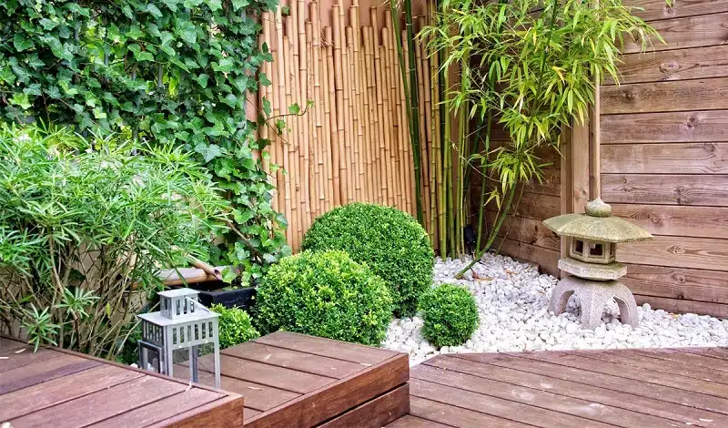 5 idées de décoration avec du bambou : créer une atmosphère zen et exotique