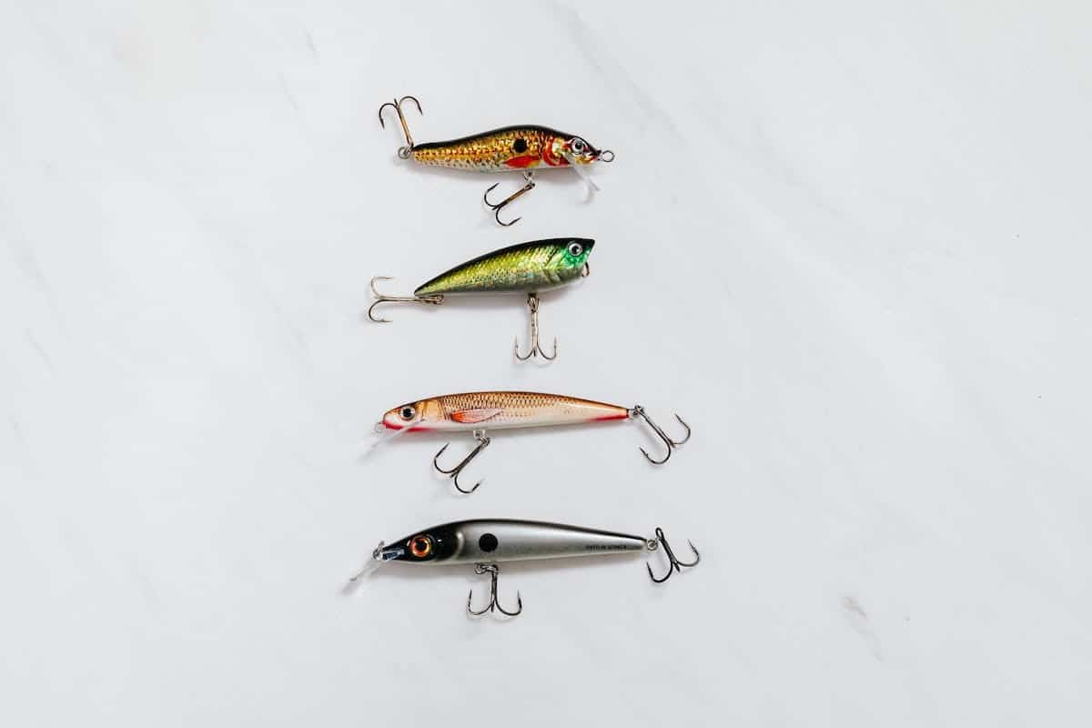 leurres pêche
