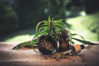 Quel CBD se rapproche du THC ?