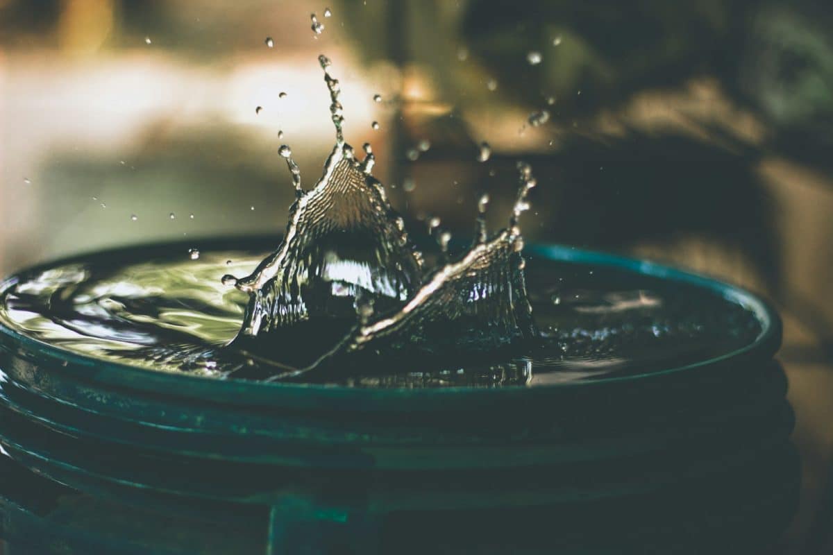 eau de pluie dans un bidon