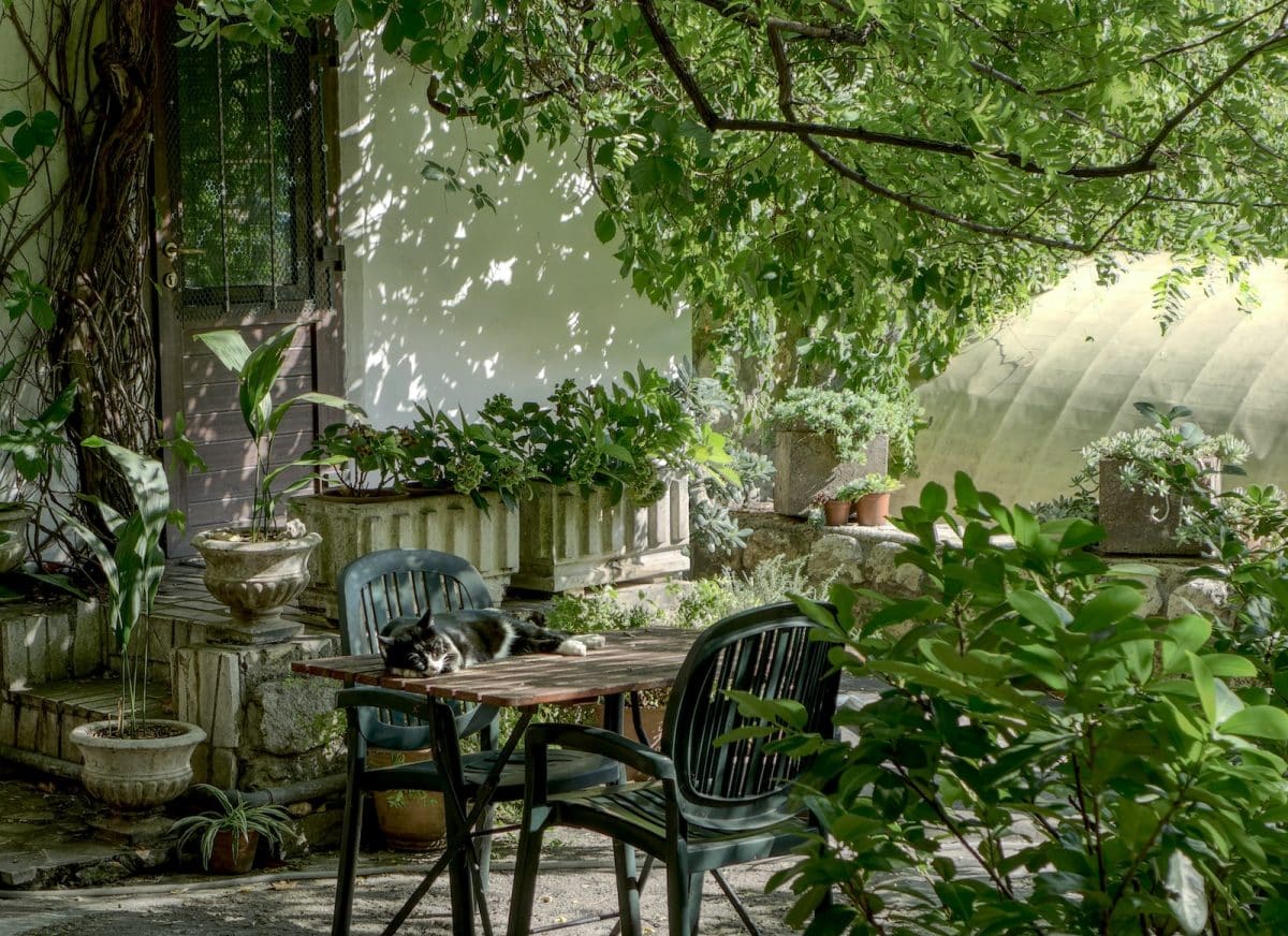 Aménager un salon de jardin pour profiter de votre extérieur