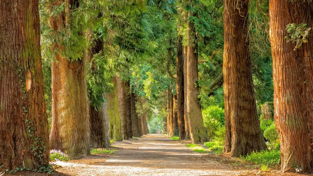 Se recharger et se rafraîchir avec des vacances à la campagne