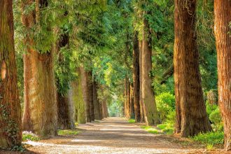 Se recharger et se rafraîchir avec des vacances à la campagne